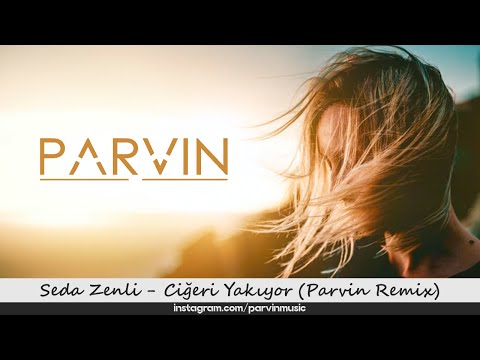 Seda Zenli - Ciğeri Yakıyor ( Parvin Remix ) / Issız Duvarlar