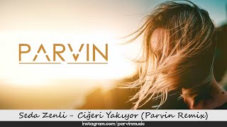 Seda Zenli - Ciğeri Yakıyor ( Parvin Remix ) / Issız Duvarlar Resimi