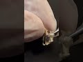 ヤマカガシの骨格標本#shorts #いのししの人 #骨格標本 #tiktok