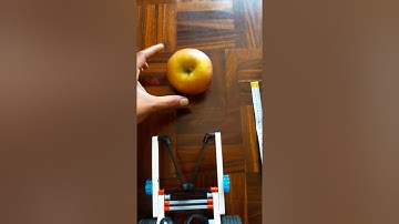 Vicky delivers and Apple: Unit 4 challenge video