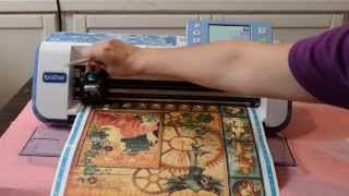 Direct Cut Overlay Instructional Video with Liz Hicks