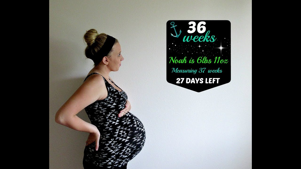 36 Weeks Pregnant Youtube