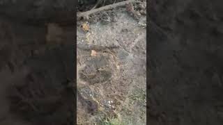 The Drill And The Box, Part 2 Resimi