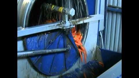 Πλυντήριο, Γυαλιστικό Καρότου -Carrots Washing and Polishing Line_Novatec