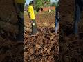 African village farming