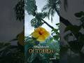 # flower hersingar...