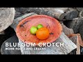 Satisfying woodturning  bluegum crotch bowl