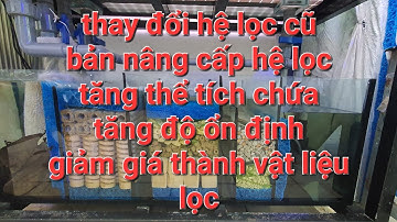 Nâng cấp lọc tràn dưới/ tăng thể tích chứa nước/aquarium design vt