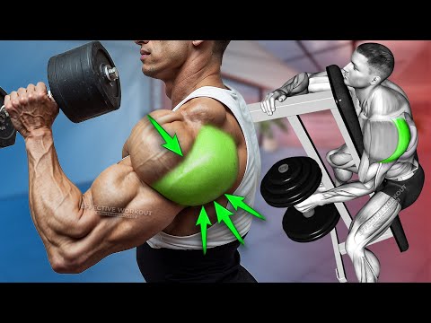 5 Best Rear