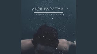 Mor Papatya (Feat. Caner Ateş) Resimi