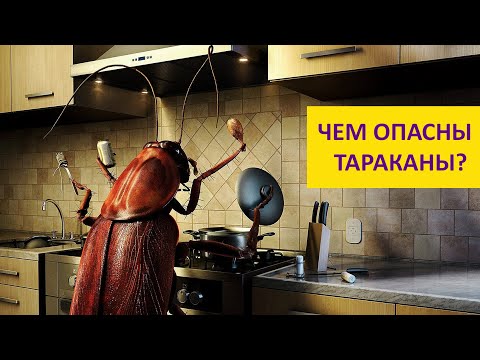 Рыжий, усатый, непобедимый! Наталья Носова