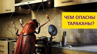 картинка: Рыжий, усатый, непобедимый! Наталья Носова