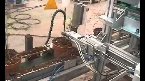 Sroka Split Stick Placer and Binder