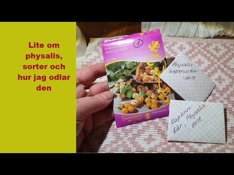 Video: Hur odlar man periwinkle marktäckare?