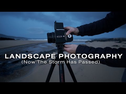 Should You Always Shoot Landscape For Video?