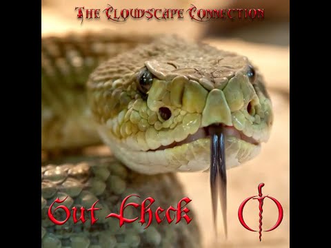 The Cloudscape Connection - Gut Check