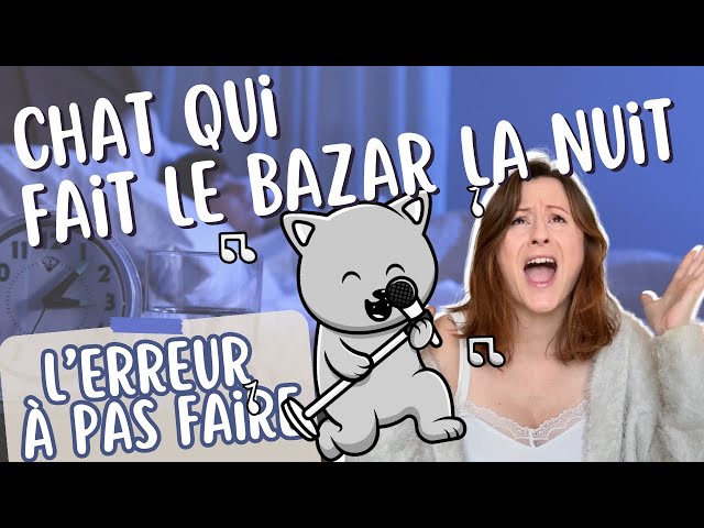 chat qui miaule toute la nuit 👉🏻 comment arrêter ça ?