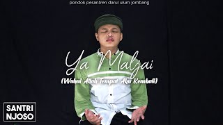 Ya Maljai (يا ملجإي) Cover voc. Danish
