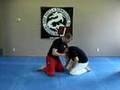 Guillotine choke from submissions 101