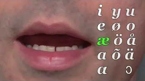 Dansk intro: vokallyde - tale og skrift