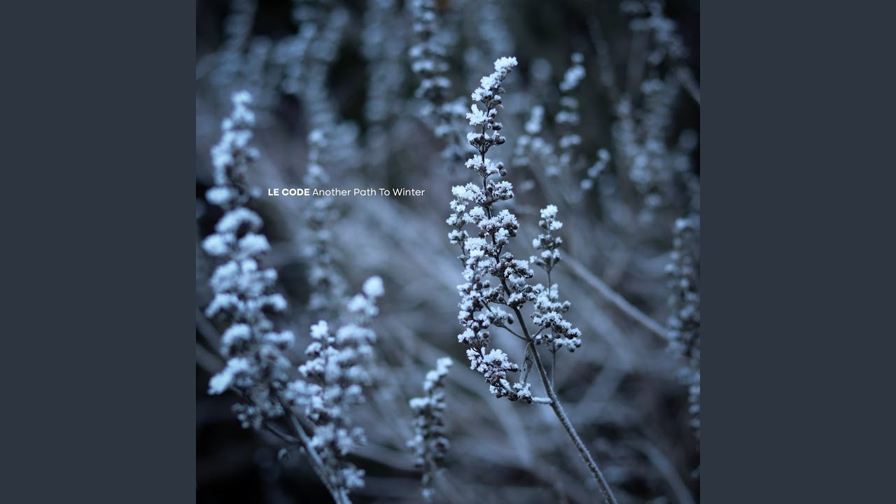 Another Path to Winter auf YouTube ansehen Another Path to Winter auf YouTube ansehen