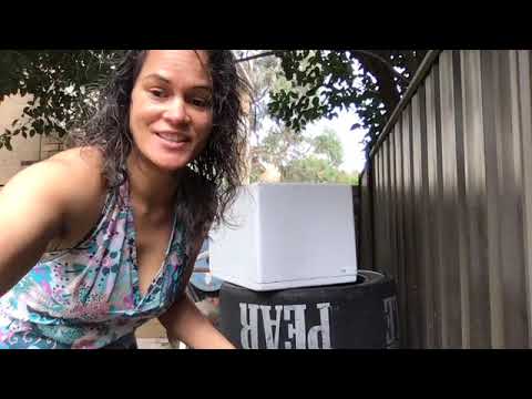 Kaukau making a worm farm out of polystyrene boxes