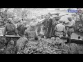 Сталинградская энциклопедия. 85-мм зенитная пушка образца 1939 года