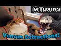 Touring MToxins- Wisconsin's Venom Lab!