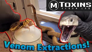 Touring MToxins Wisconsin's Venom Lab!