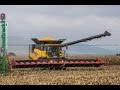 New holland cr990  big corn harvest in 16 rows in france 