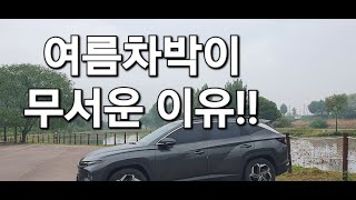 34.여름차박이 무서운이유/여름차박 준비물/여름차박 슬기롭게 하는법/여름차박의 장단점