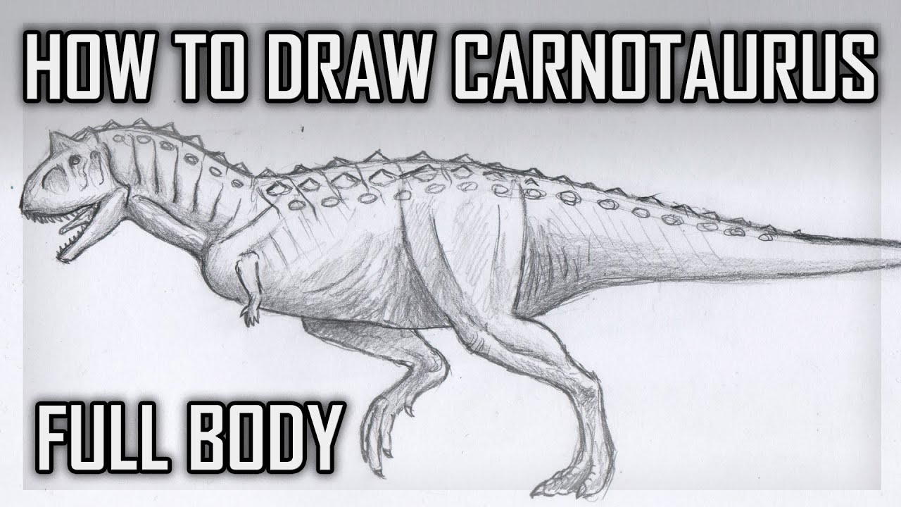How To Draw Carnotaurus Fully Body - YouTube