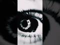 Malang👀❤️‍🔥||Lyrics:"isqh hai"❤️‍🩹 #viral #trending#hindisong #aesthetic#love#viral#shorts#fyp