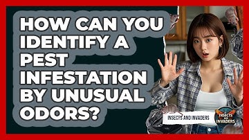 How Can You Identify A Pest Infestation By Unusual Odors? - Insects and Invaders