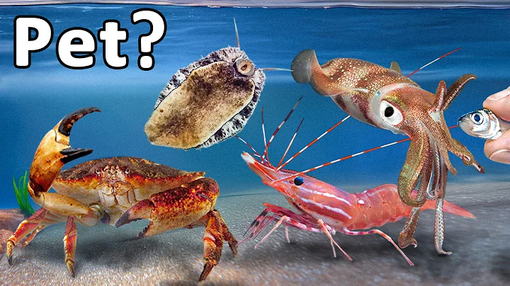 I Turned Every Grocery Store Animal into My Pet