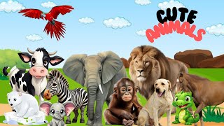 Animals name|Cute little animals - Dog, cat, chicken, elephant, cow, tortoise - Animal sounds
