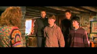 The Wrath of Mrs Weasley!! - Harry Potter and the Chamber of Secrets