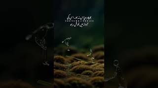 #tranding #dut viral vidio #cute vairalmayvedio 😔🌹🌹🌹😔💞💞❤️❤️🤗🤗🤗🌹😔😔