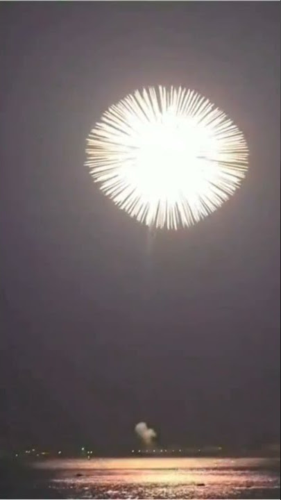 Fire Flower Fireworks Music Story #shorts #fireworks #happynewyear #musicvideo