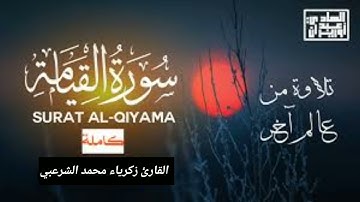 تلاوة في غاية الجمال|سورة القيامة(كاملة) | القارئ زكرياء الشرعبي