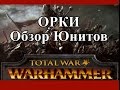 Total War: Warhammer - Орки Обзор Юнитов