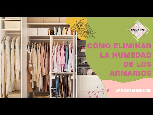 Cómo eliminar la humedad de los armarios - canalHOGAR