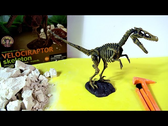 Kit Arqueologia Dinossauro Velociraptor - Autobrinca Online