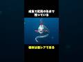 幻の魚リュウグウノツカイ#雑学 #動物 #魚 #海 #マジか動物園