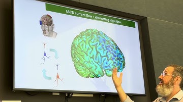 Oscillations mechanisms of transcranial Current Stimulation (tACS) -  Part 1 tACS basics