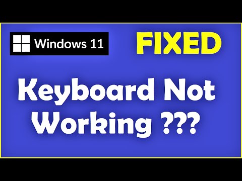 Keyboard Not Working