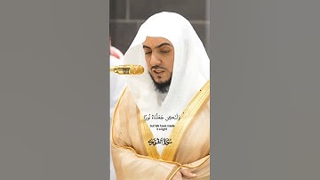 وكذلك أوحينا اليك روحا من أمرناتلاوة مرئية من صلاة العشاء 9 ربيع الآخر 1446هـ_الشيخ الوليد الشمسان