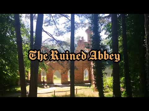 WALKING IN PAINSHILL PARK WE MET THE RUINED ABBEY