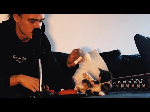 ASMR With Kitty