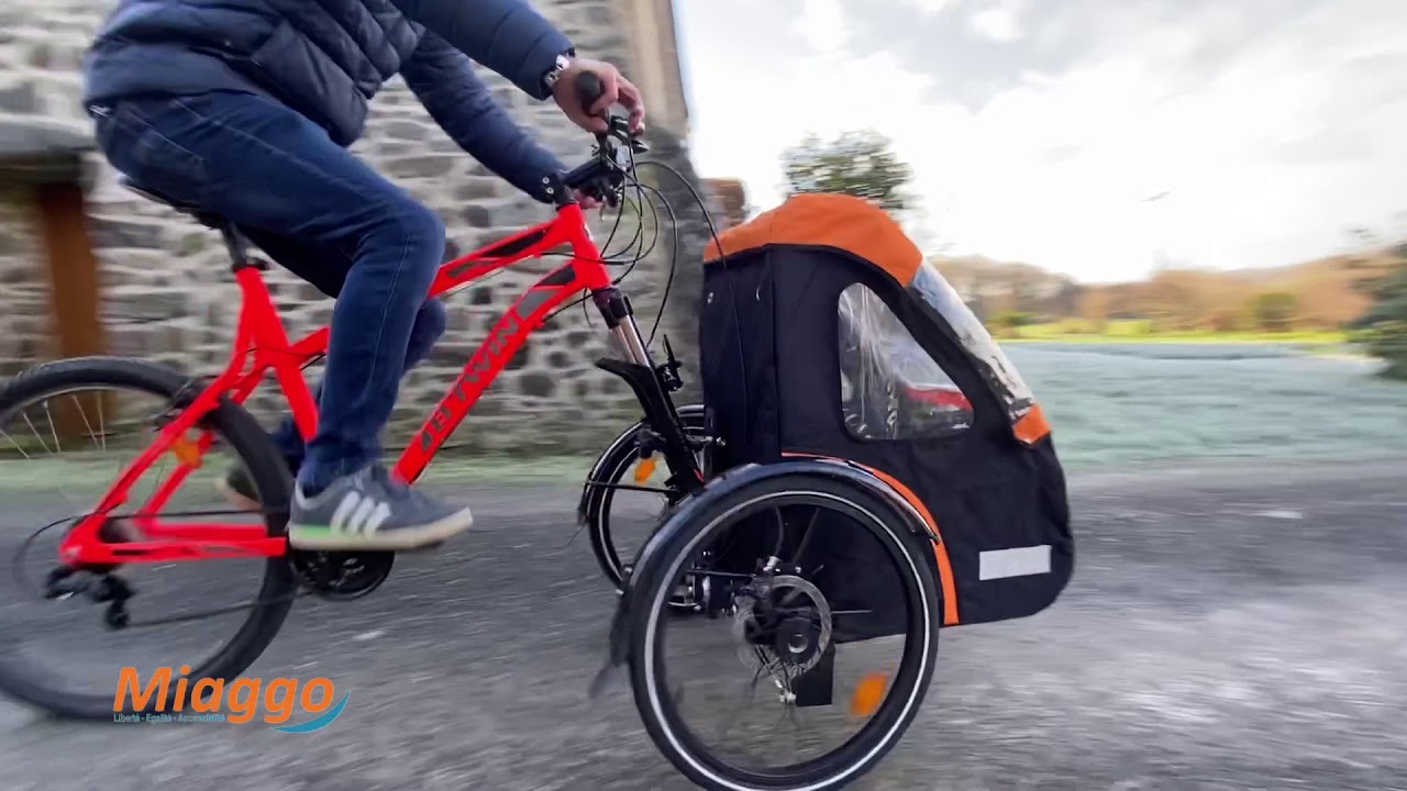 Modification d'un cadre VTT pour en faire un mini vélo biporteur –  l'Heureux Cycleur